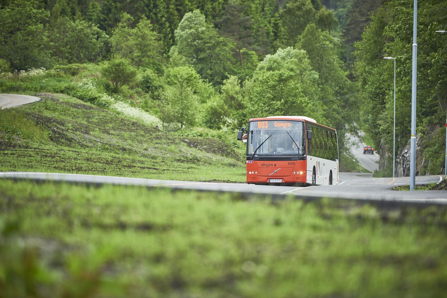 foto av buss som køyrer på ein veg