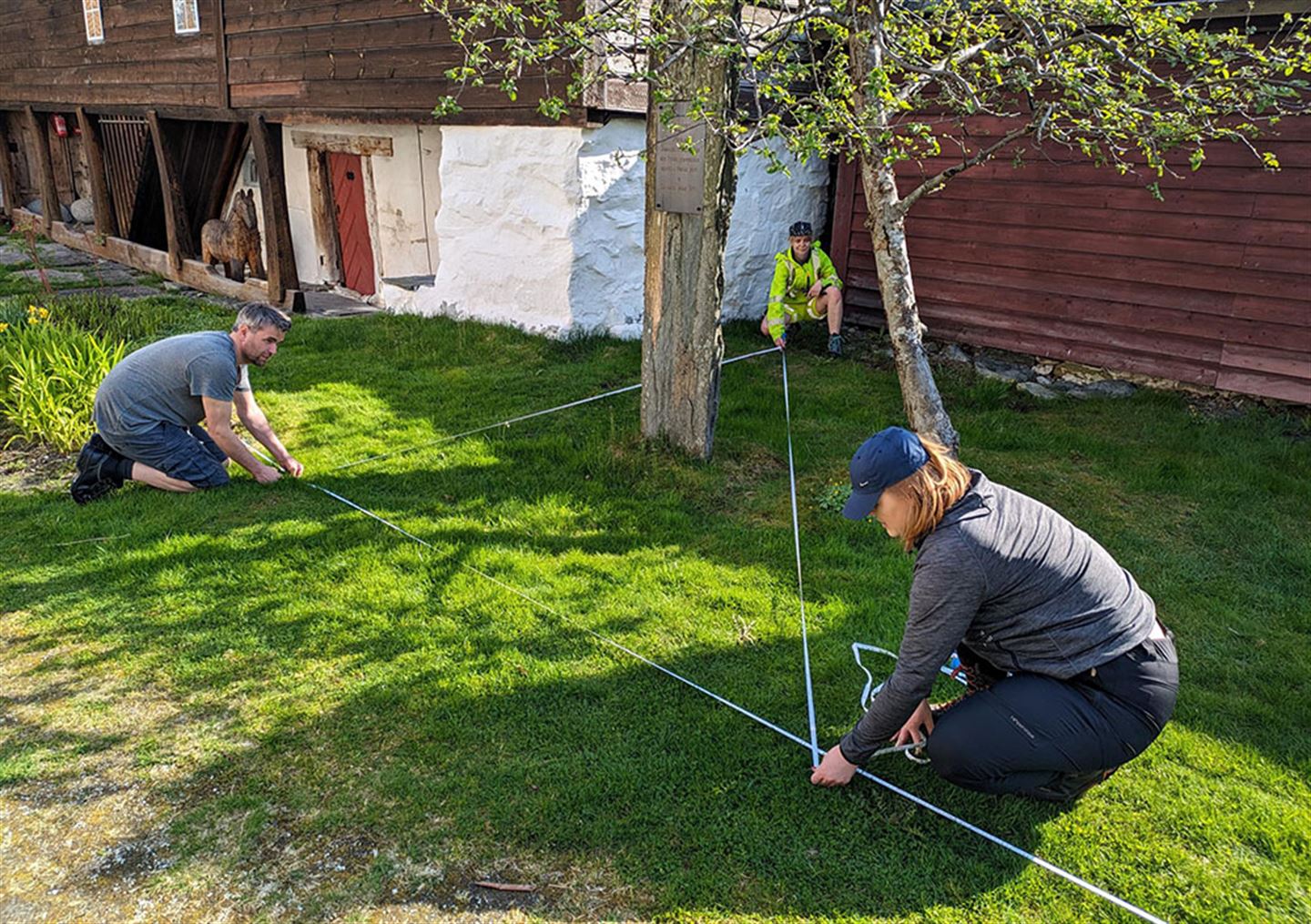 Tre personar merker opp område rundt eit tre.