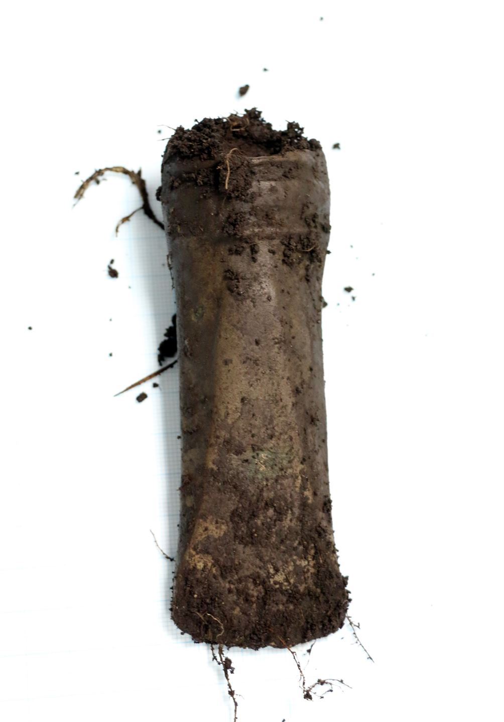 Ein 3500 år gamal øks frå bronsealderen. Øksen ligg på kvitt papir og er ca. 12 centimeter lang. Den har jord og små røter på seg etter å ha lagt i jord lenge. 