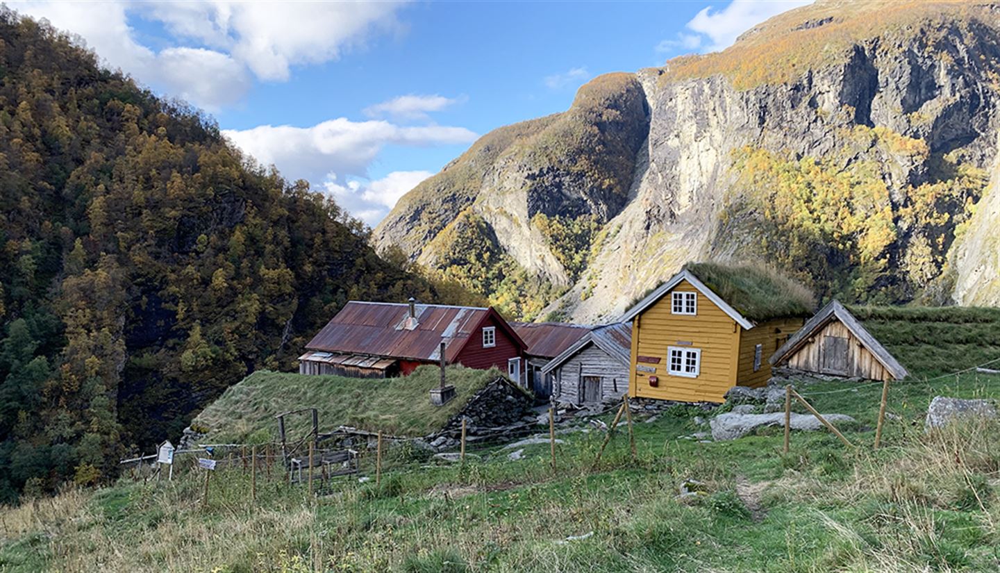 Tunet Sinjarheim i Aurlandsdalen.