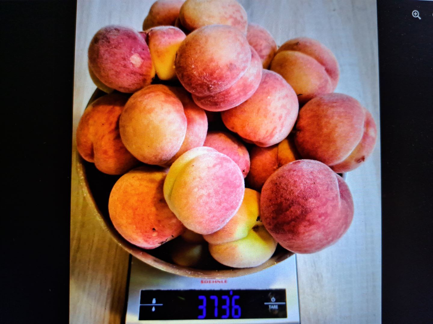 foto av fersken på ei vekt