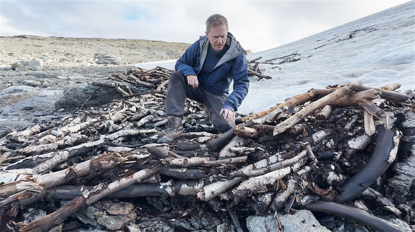 Mann ved snøfonn der tilhogde trestokkar smeltar fram.
