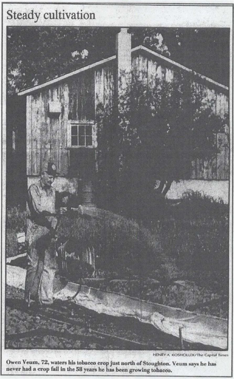 Gamal avisartikkel med tittelen Steady cultivation.
