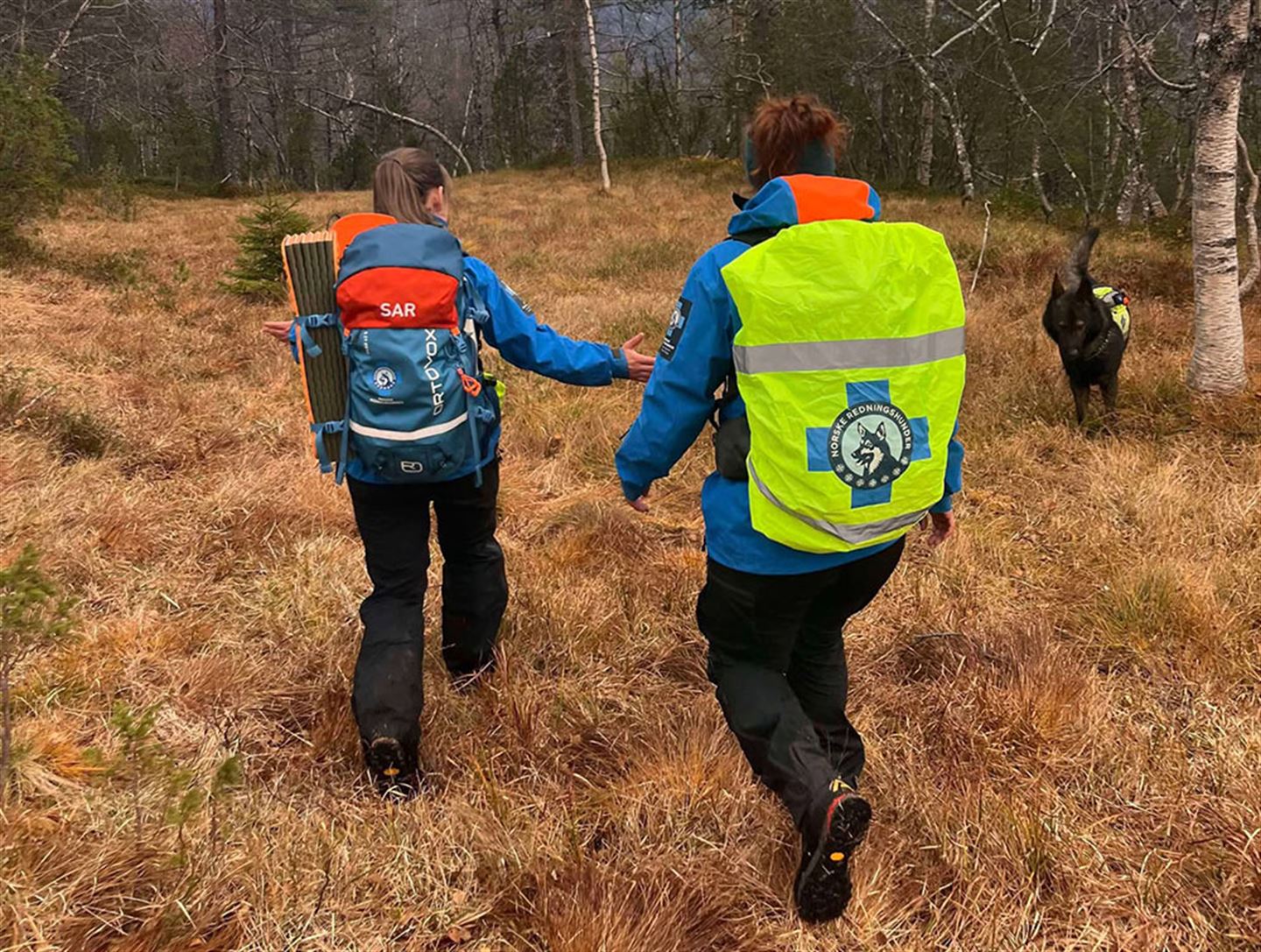 To kvinner og redningshund i skogen.