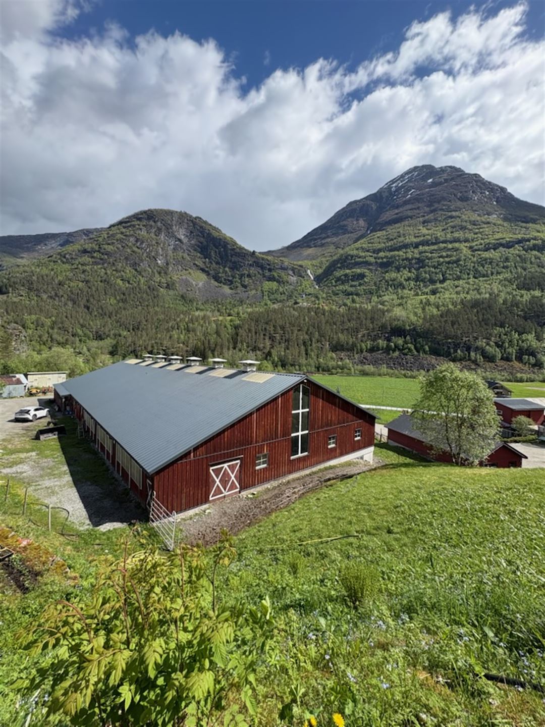 foto av moderne fjøsbygning