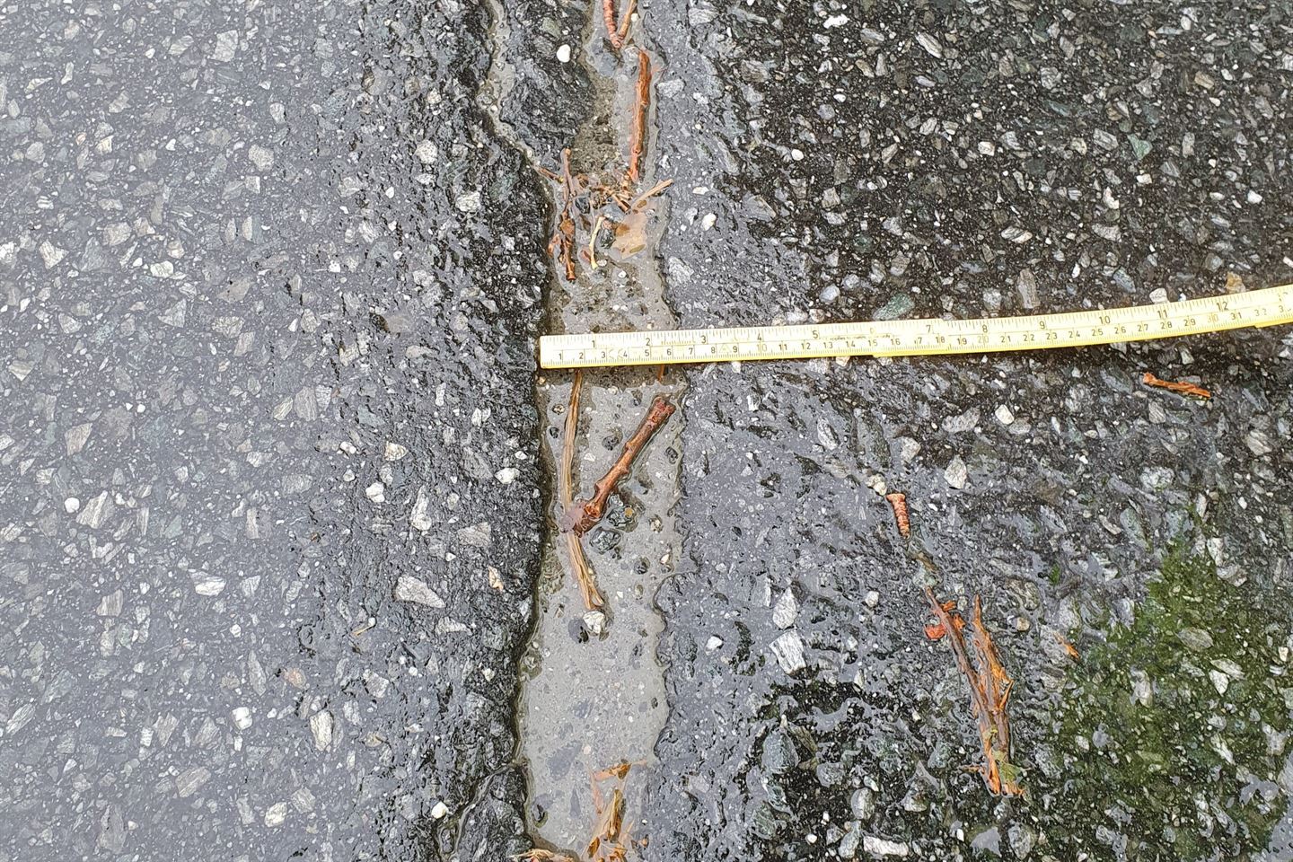 Asfalt med sprekker i. Det ligg fleire brune blader på vegen. Ein gul meterstokk ligg på asfalten. 