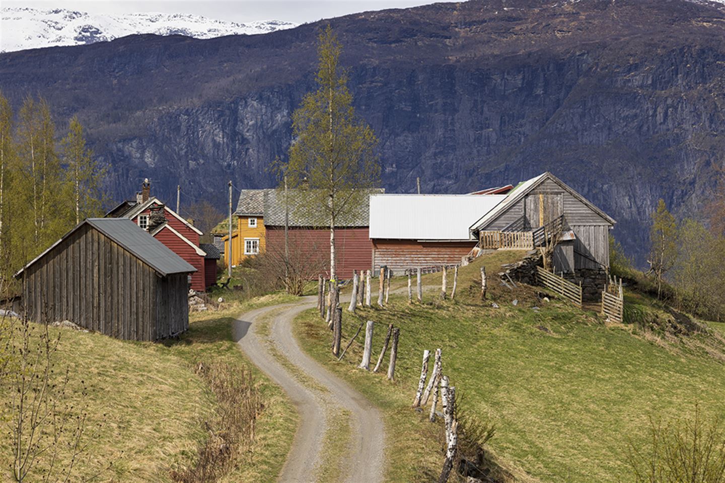 Bygningar og grusveg på klyngjetunet Ystås i Voss.