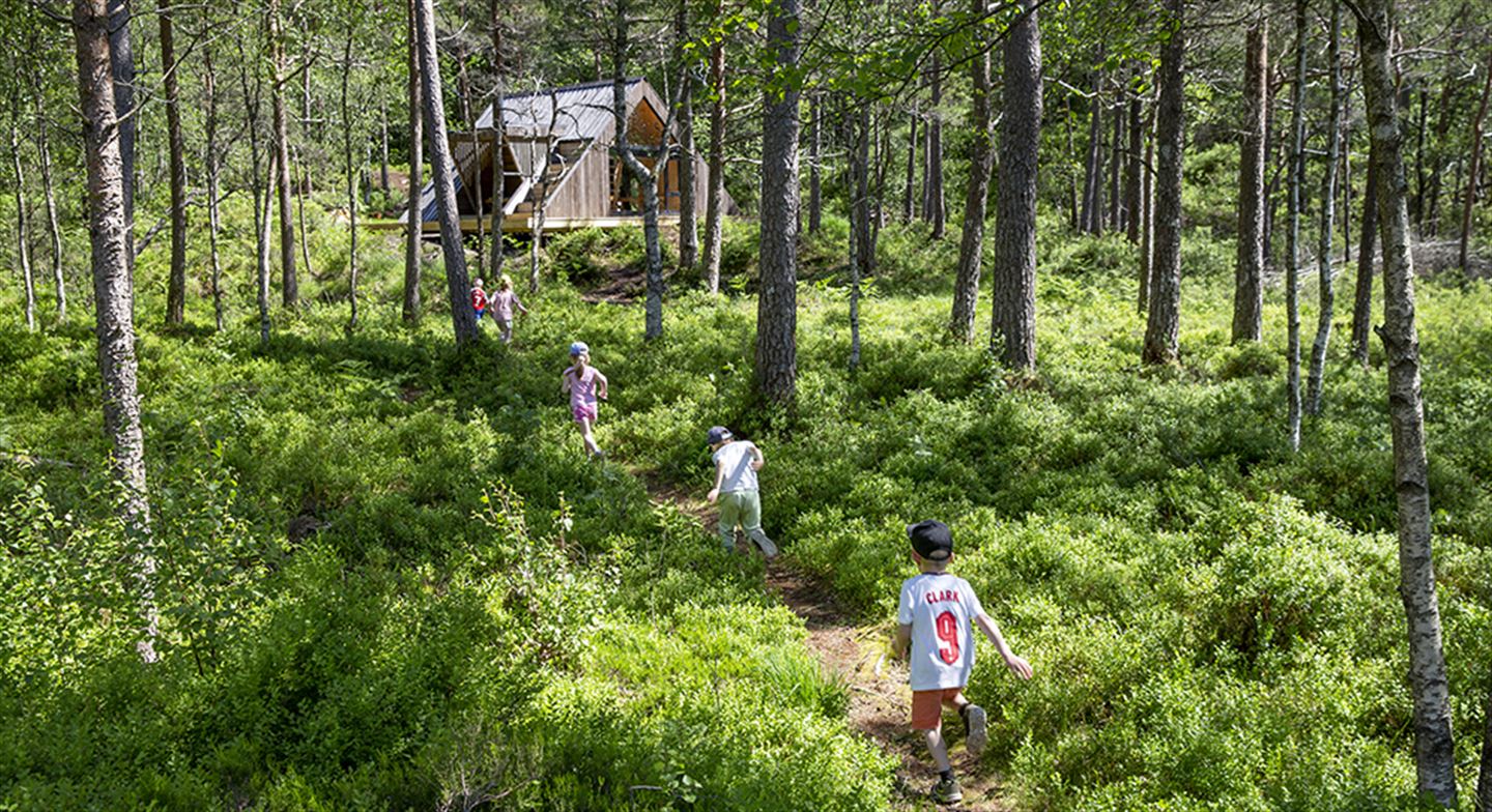 Ungar på veg gjennom skogen til dagsturhytta Prestakvilet i Samnanger.