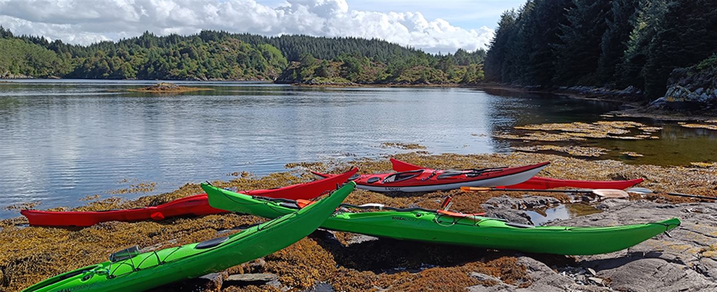 foto av kajakkar som ligg i strandlinja