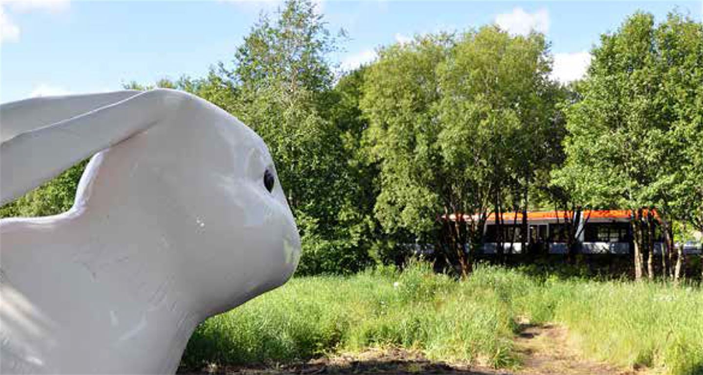 Foto av kunstverket The White Rabbit langs bybanetraseen. Det er ei stor kvit kanin som står i skogen.