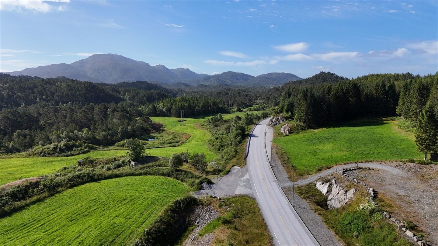 Bilete av veg som går gjennom landskap med grøn mark på begge sidar av vegen og fjell foran.