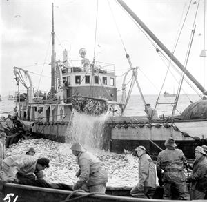 Bilete av fiskebåt med småfisk, fiskarar i oljehyre, sjø og andre båtar i bakgrunnen. 