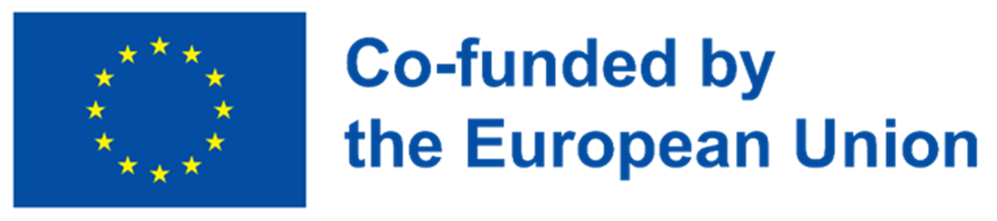 EU-flagget og teksten Co-funded by the European Union