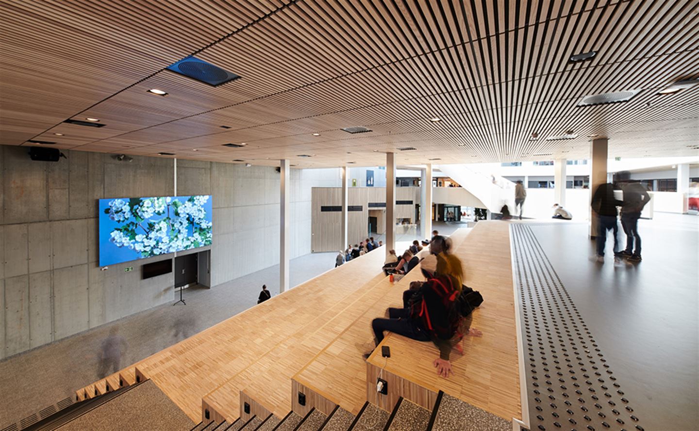 Kunstverket Øye, hånd, sinn, som er ein film, på Åsane vidaregåande skule.