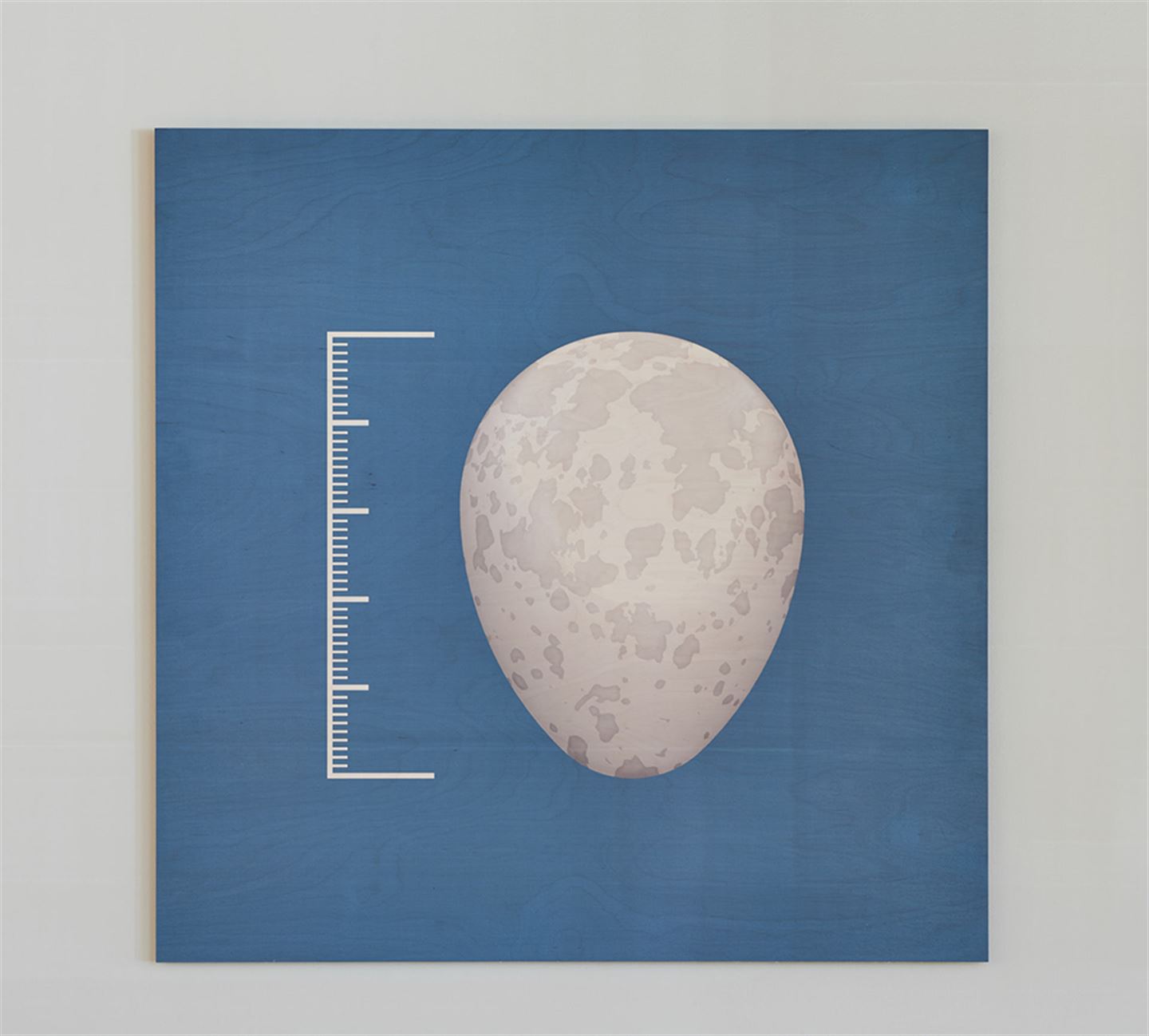 Kunstverket Rekonstruksjoner med digitaltrykk og svipenntekningar. Det er ein serie bilde på Åsane vidaregåande skule.