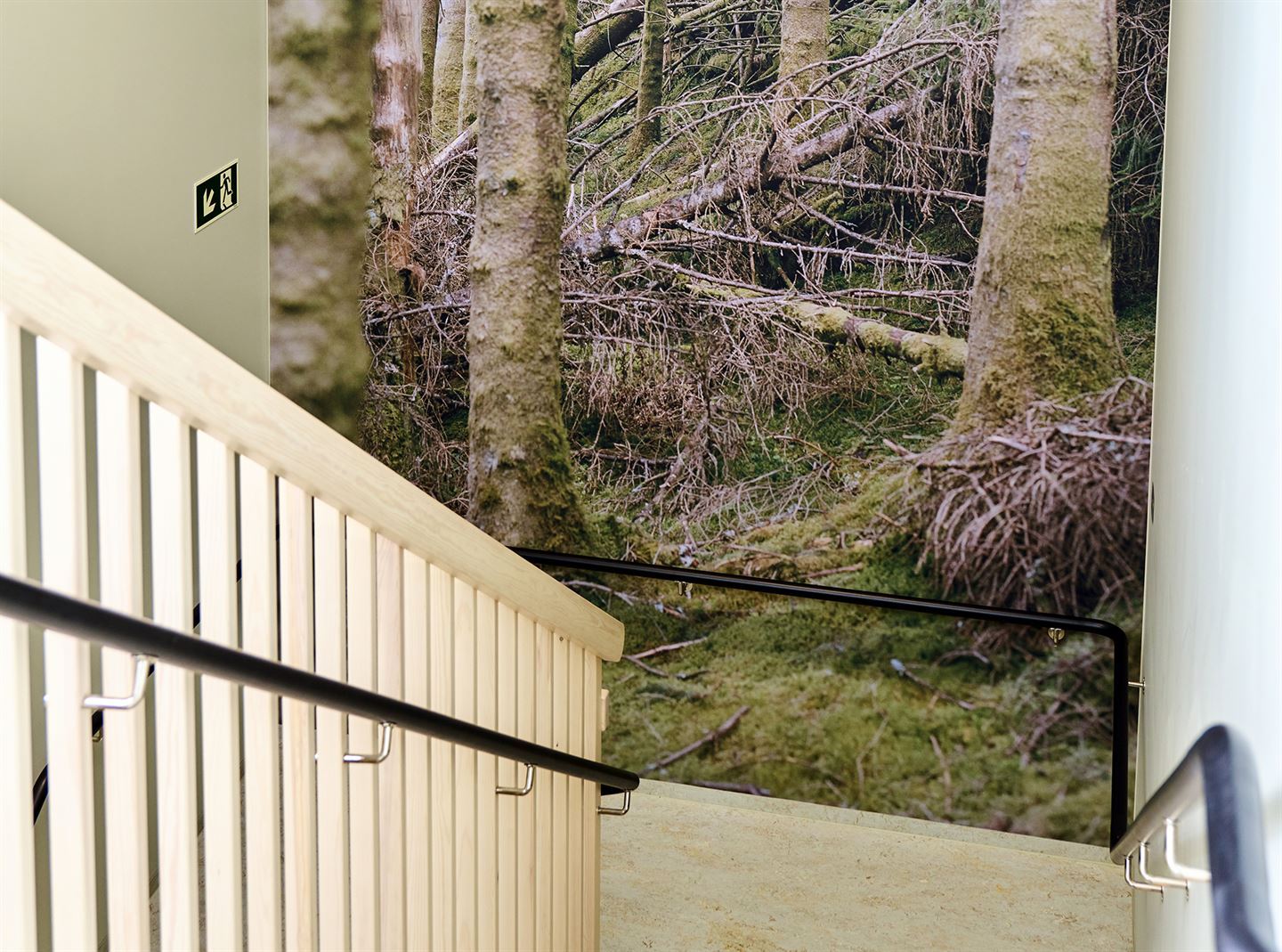 Foto av fotokunstverk som dekkjer heil vegg i repos i trapp. Foto syner rotvelt i skogen.